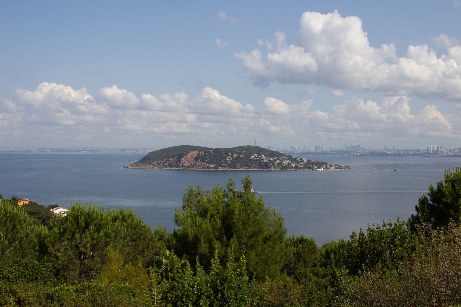 İstanbul Adalar mimarlık ve inşaat hizmetleri — DAB