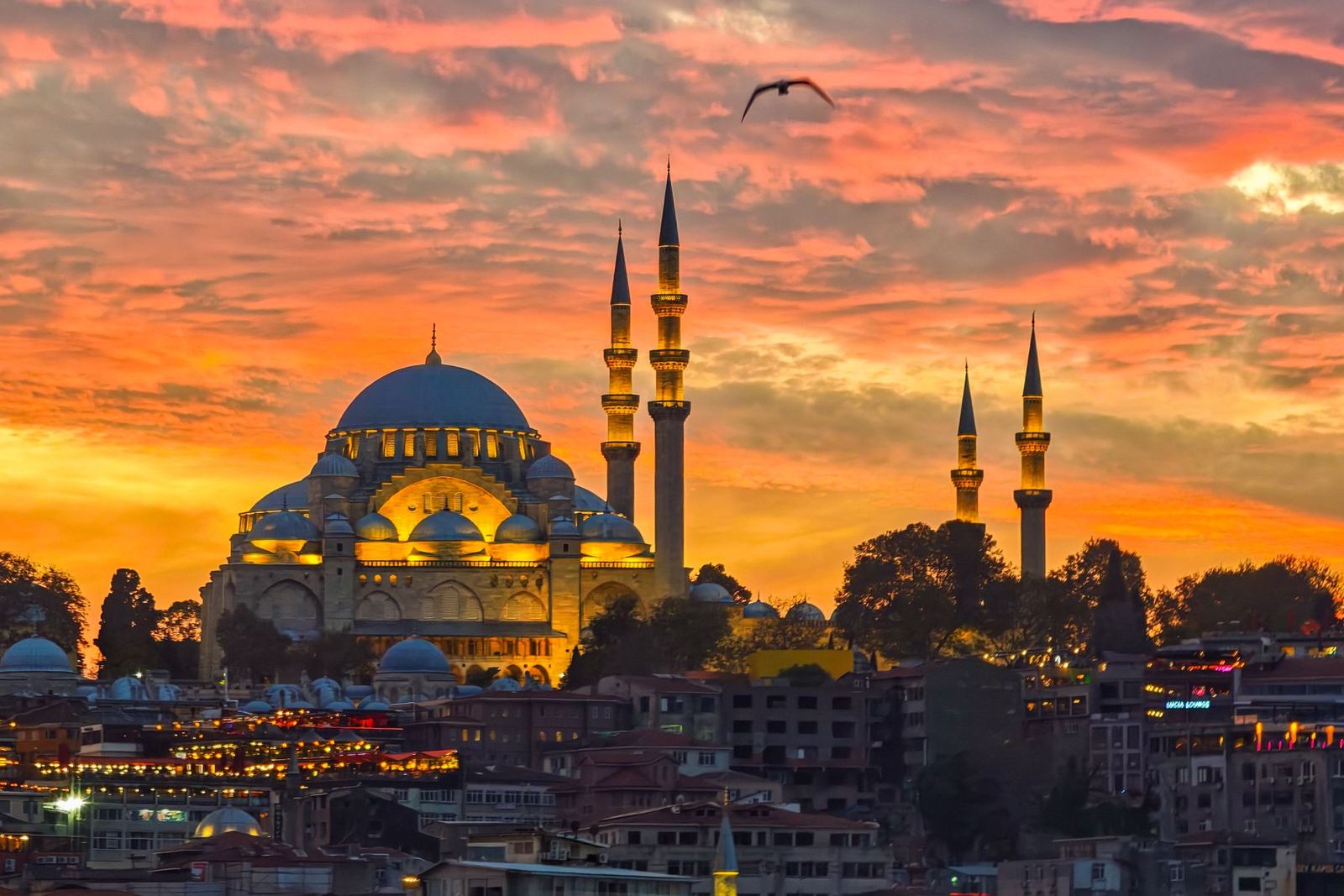 İstanbul Fatih mimarlık ve inşaat hizmetleri — DAB
